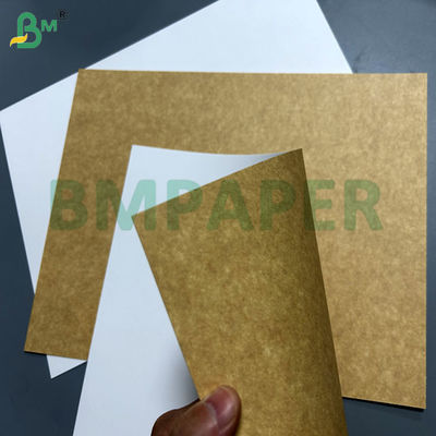 250gsm 300gsm  Food Compliance Coated Kraft Board For Food Containers 71cm