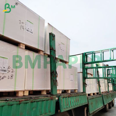 Bìa cứng trắng không axit 1500gsm, 75 x 100cm, tráng hai mặt