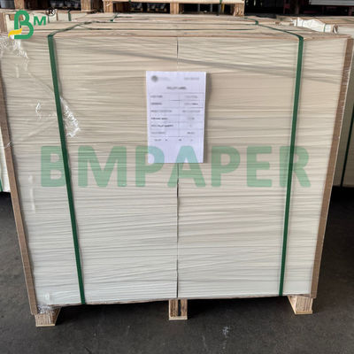 Giấy Cupstock 230gsm + Tráng PE một mặt 15g, khổ 60 x 40cm
