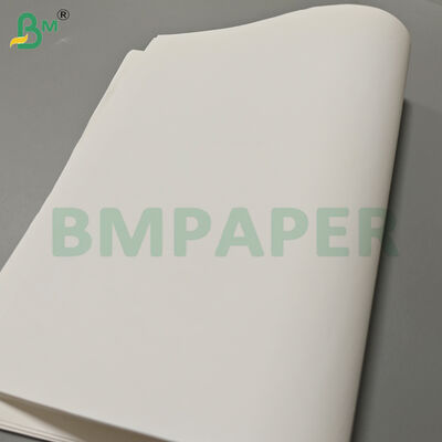 Bảng giấy từ điển hình rõ ràng 50gsm để in Offset