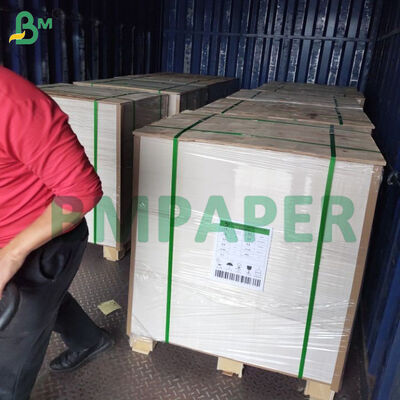 Giấy lót ly không tráng phủ 390gsm 455 X 650mm Dùng cho tấm lót bàn, đế bánh