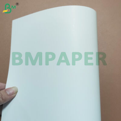 350gsm Grease Resistant One Side Coated White Cardboard Sheets