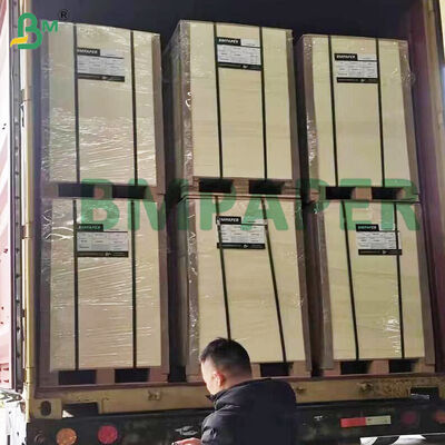 Giấy bìa bột giấy thấm hút cao 0.4-2.0mm dùng cho đế lót ly bia, màu trắng tự nhiên