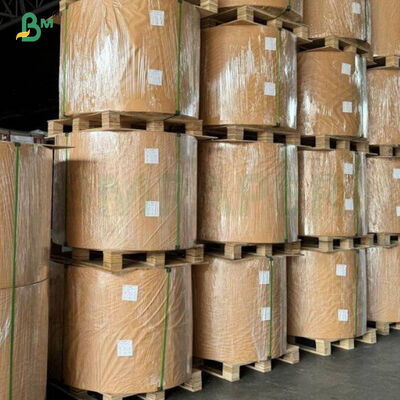 Giấy tráng PE một mặt bóng 40gsm + 10gsm chống thấm dầu dùng để đóng gói thực phẩm