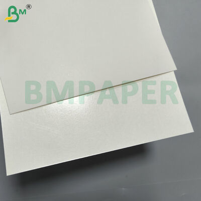 Giấy bìa tráng phủ trắng đông lạnh để đóng gói kem & đế bánh