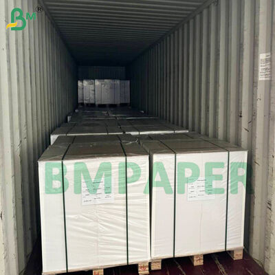 Giấy bìa tráng phủ trắng đông lạnh để đóng gói kem & đế bánh