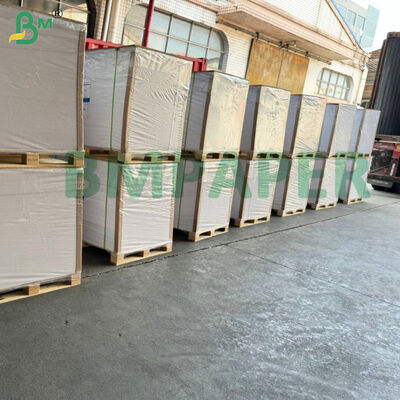 Giấy bìa tráng phủ trắng đông lạnh để đóng gói kem & đế bánh