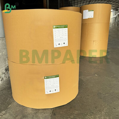 Kraft Cupstock giấy vật liệu chống thấm tốt cho ly giấy & bát