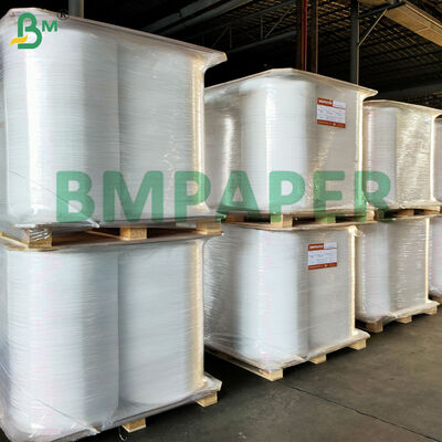 Bảng giấy cơ bản bao bì thuốc lá cuộn 25gm Bảng giấy dải thuốc lá trắng