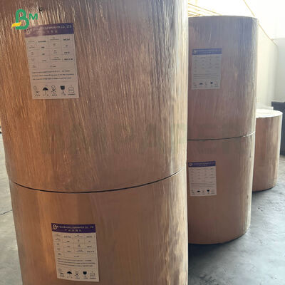 Bộ 3 Bộ 5 Bộ 7 Giấy cuộn chống dầu, phân hủy được, tẩy trắng