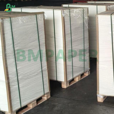 Giấy thấm siêu trắng thấm hút dày 0.4mm - 2.0mm dạng tấm Nắp chai