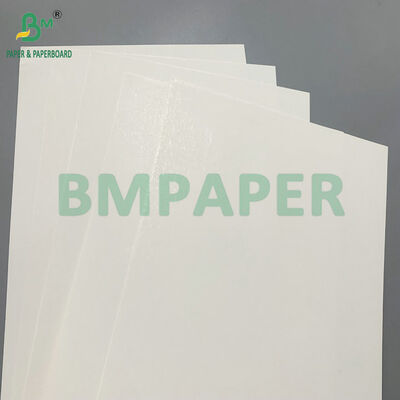 Giấy bìa C1S SBS trắng cao 210gsm dùng cho hộp thuốc lá sang trọng