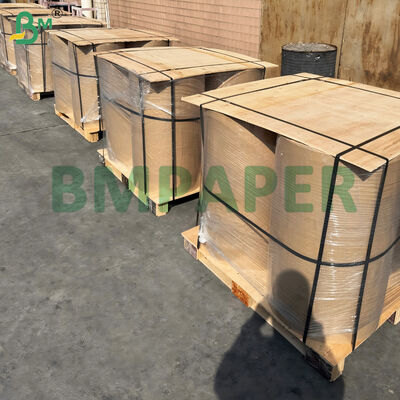 Giấy in nhiệt chống lạnh, chống đông đá dùng cho kho lạnh & ngoài trời