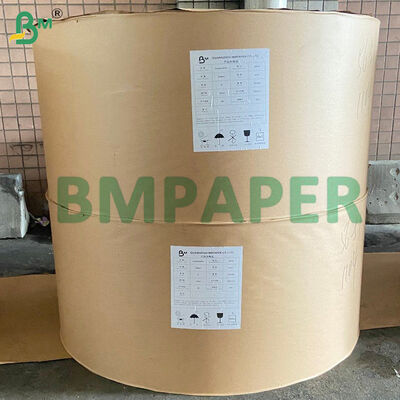 Giấy in mỏng có độ mờ cao dùng cho sách, Kinh Thánh, Từ điển, Bách khoa toàn thư