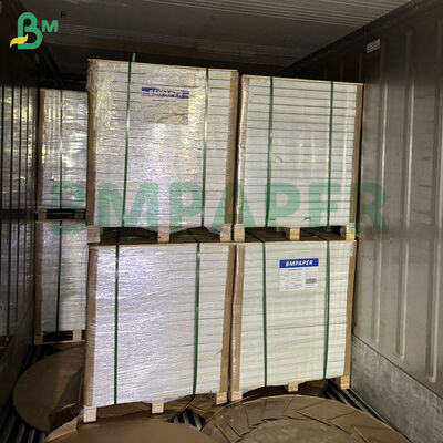 12 x 18 inch 300gsm 350gsm Bảng giấy bìa màu trắng 1 mặt được phủ để in Offset
