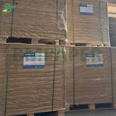 Bảng giấy lọc cà phê được chứng nhận chất lượng thực phẩm với kích thước lớn và tùy chọn grammage kép cho nhà và sản xuất bia thương mại