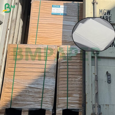 Bảng giấy lọc cà phê được chứng nhận chất lượng thực phẩm với kích thước lớn và tùy chọn grammage kép cho nhà và sản xuất bia thương mại