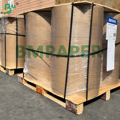 Giấy Lót Khuôn Bánh 21gsm Trắng và Màu Bán Trong