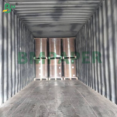 Giấy bọc thực phẩm màu minh bạch 23gsm Cho nướng bánh / Cheesecake Liner