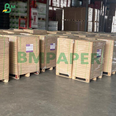 Bảng giấy da không dính cho máy nướng không khí, máy hơi nước, lò, trắng & tự nhiên