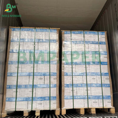 Digital Printing 70LB 80LB Uncoated White Paper 12inch X 18inch for Brochure