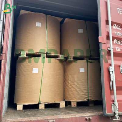 Giấy kraft màu nâu cuộn giấy thử nghiệm tái chế lót 200gsm