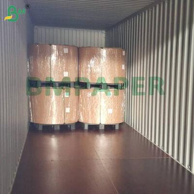 Bảng giấy bọc bơ không dính chống mỡ 12 Bảng giấy chất lượng thực phẩm