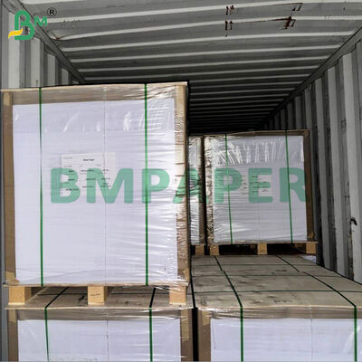 WTKB Bảng thực phẩm Một mặt Bảng Kraft phủ màu trắng cho bao bì thực phẩm trực tiếp