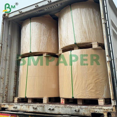 WTKB Bảng thực phẩm Một mặt Bảng Kraft phủ màu trắng cho bao bì thực phẩm trực tiếp