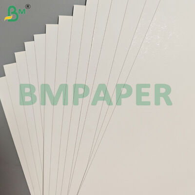 300gm SBS White Cardboard chống mỡ để làm hộp sang trọng
