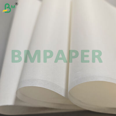 Tờ giấy chống dầu cấp thực phẩm 40gsm cho bao bì bơ