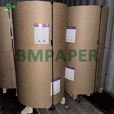 Giấy gói thực phẩm tráng phủ một mặt PE 30gsm + 10PE