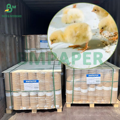 Giấy gà chống nước từ 40gm đến 80gm cho nhà nuôi gia cầm cho ăn và uống
