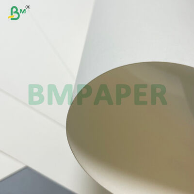 Giấy súp mì nóng tráng 20gsm 24gsm PE có khả năng chịu dầu cao