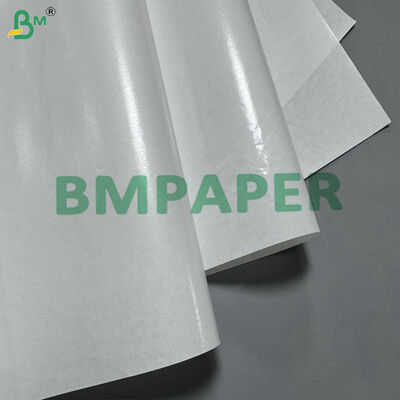 Bảng giấy kraft PE lớp phủ chống nước và chống mỡ 40gsm giấy bọc loại thực phẩm cuộn cho bao bì bếp kín nhiệt