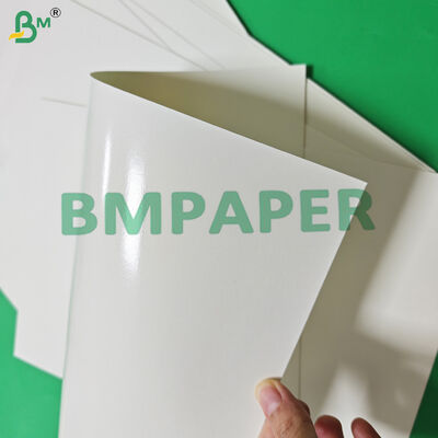 Giấy Cupstock An Toàn Thực Phẩm 170 - 320gsm + 15g PE Dùng Cho Đồ Uống Nóng Chống Rò Rỉ 870mm