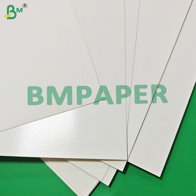 Giấy Cupstock An Toàn Thực Phẩm 170 - 320gsm + 15g PE Dùng Cho Đồ Uống Nóng Chống Rò Rỉ 870mm