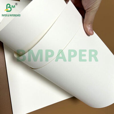 Giấy cupstock ép đùn màu trắng 170-320gsm với 15 PE khổ 70 x 100cm