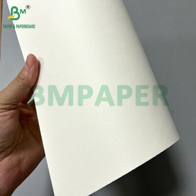 Giấy cupstock ép đùn màu trắng 170-320gsm với 15 PE khổ 70 x 100cm