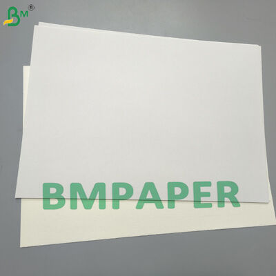 250gsm Giấy carton gấp 2 mặt trắng phủ hoàn toàn, mặt sau màu manila dùng cho sản phẩm bánh ngọt