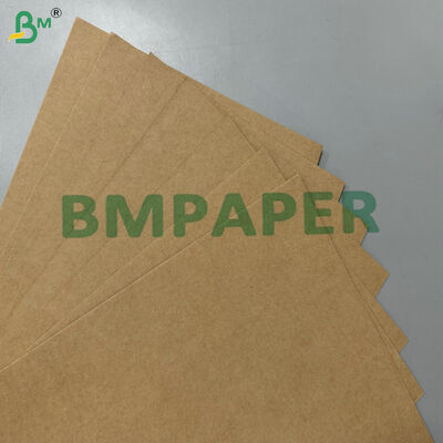 Giấy nền bã mía 200gsm 300gsm có thể phân hủy sinh học, chống dầu mỡ, cấp thực phẩm 100% cho đồ dùng một lần