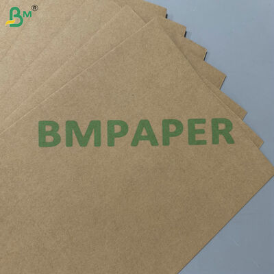 Giấy nền bã mía 200gsm 300gsm có thể phân hủy sinh học, chống dầu mỡ, cấp thực phẩm 100% cho đồ dùng một lần