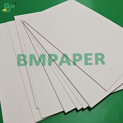 210gsm 230gsm Cup Base Paper For Beverage Cups 680mm 740mm High Stiffness