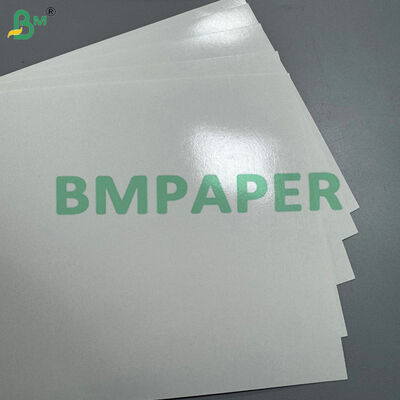 Waterproof & Heat Sealable 210gsm 280gsm Cupstock Paper with PE Coating for Hot/Cold Cups