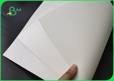 300gm Ivory Board + 15g PE phủ giấy với để làm hộp ăn trưa