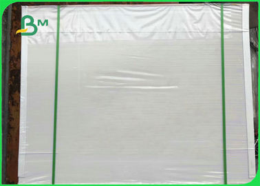 300gm White PE phủ vải ngà để làm hộp thực phẩm 50 * 70cm
