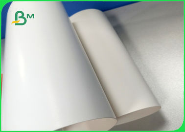 Chiều rộng 700 × 1000mm Mỏng tốt 270gm 300gm 350gm Bảng ngà cho gói
