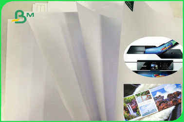 Giấy in Offset không phủ gỗ hạt dài với độ trắng cao