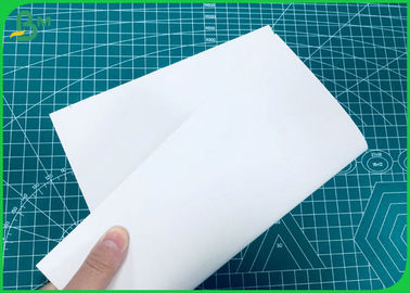 230GSM đến 400GSM FBB phủ màu trắng hoàn toàn với độ cứng tốt