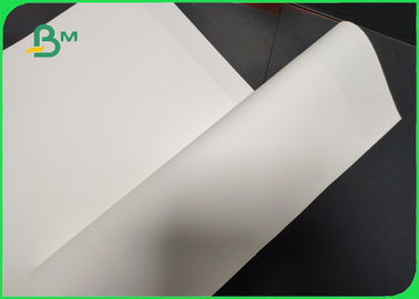 Giấy đá chống nước chống nước mắt trong 60gm - 600gm cho ghi chú và lịch